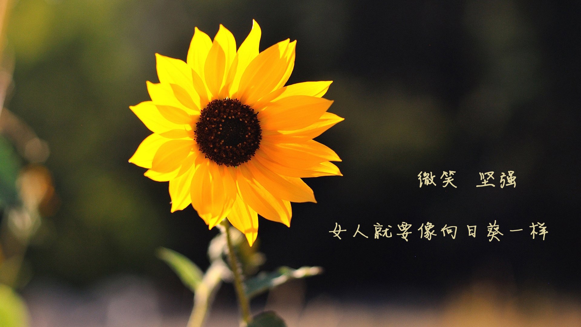 开云·Kaiyun网页版-传承与创新：台球运动的双向发展，台球运动发展史