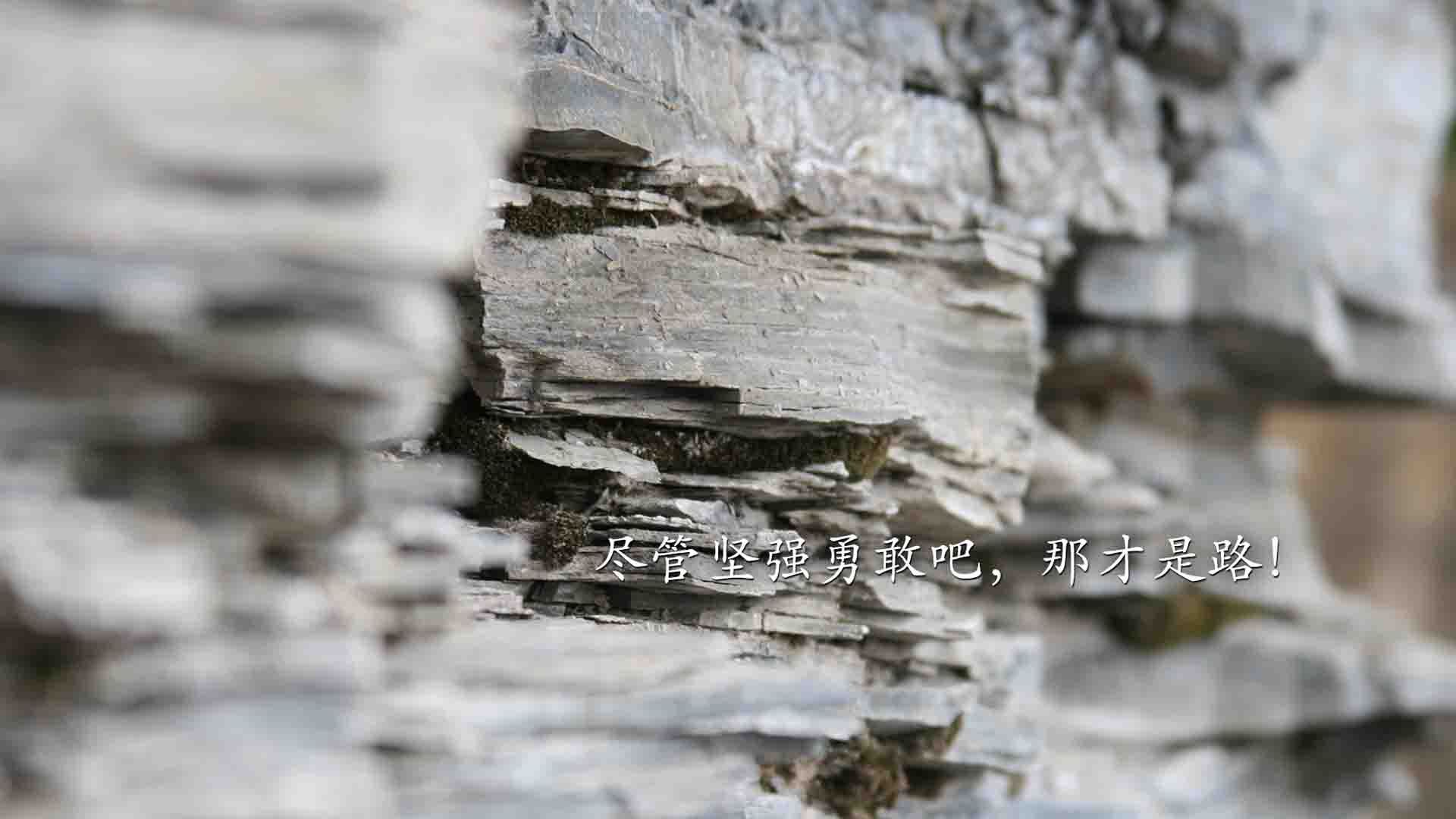 国际电竞邀请赛集结全球顶尖战队,火热开启,国际电竞俱乐部